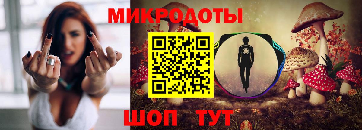 Псилоцибиновые грибы Psilocybe Набережные Челны