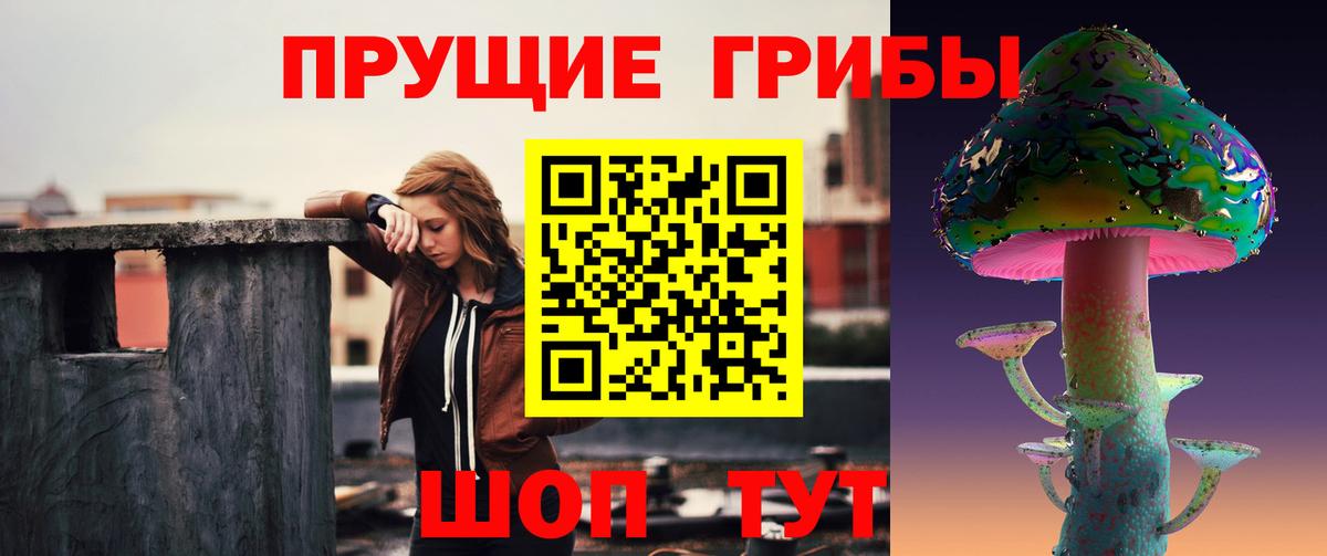 Набережные Челны  Псилоцибиновые грибы мицелий  Вход с VPN  Псилоцибиновые грибы Psilocybe 